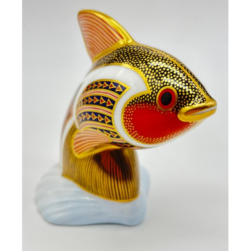 64 - Royal Crown Derby tropical fish paperweight in the form of a Guppy with gold stopper