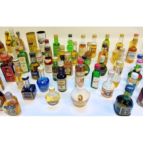 142 - Large collection of Branded Miniatures to include Whiskey, Gin, Wine, Tequila, Vodka etc