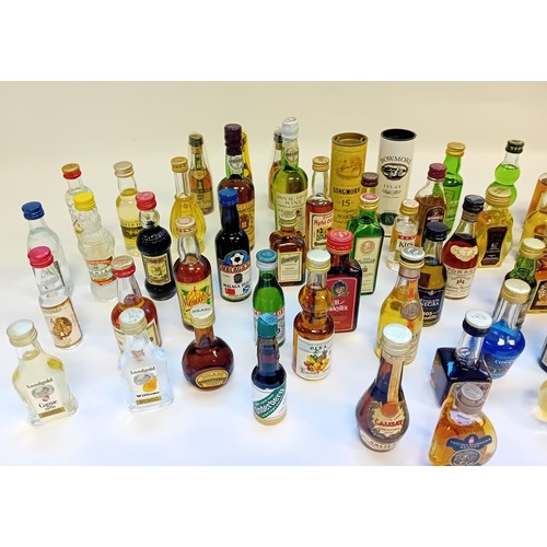 142 - Large collection of Branded Miniatures to include Whiskey, Gin, Wine, Tequila, Vodka etc