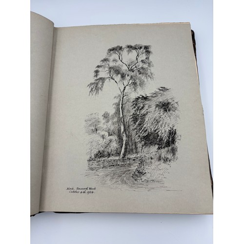 136 - A Book of Trees, Downfield 1924
Hand illustrated tree identification book with illustrations from ar... 