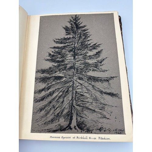 136 - A Book of Trees, Downfield 1924
Hand illustrated tree identification book with illustrations from ar... 