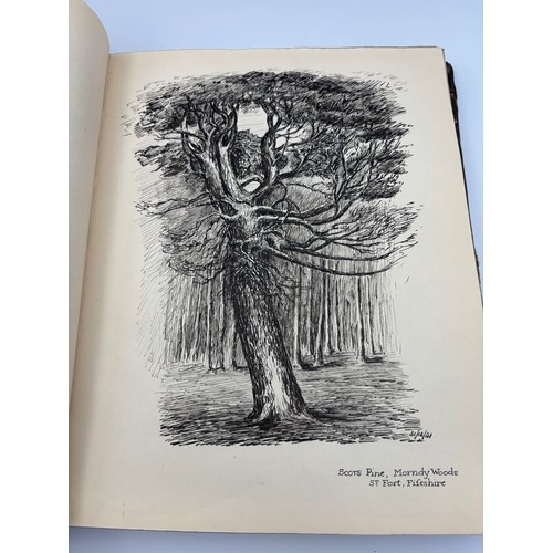 136 - A Book of Trees, Downfield 1924
Hand illustrated tree identification book with illustrations from ar... 