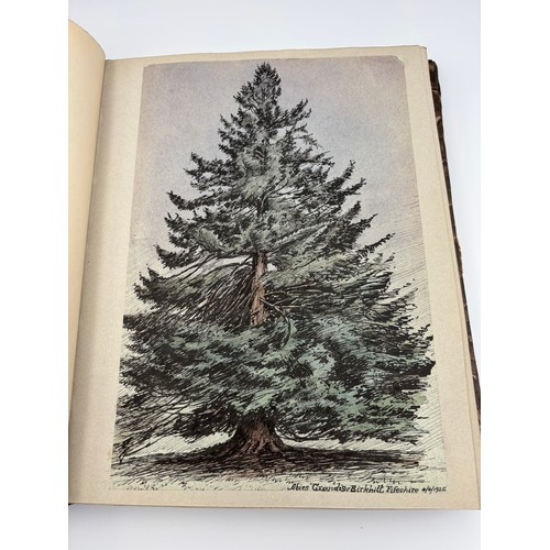 136 - A Book of Trees, Downfield 1924
Hand illustrated tree identification book with illustrations from ar... 