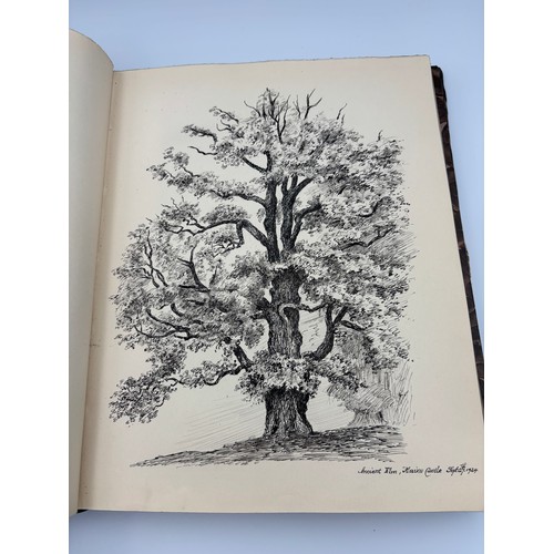 136 - A Book of Trees, Downfield 1924
Hand illustrated tree identification book with illustrations from ar... 