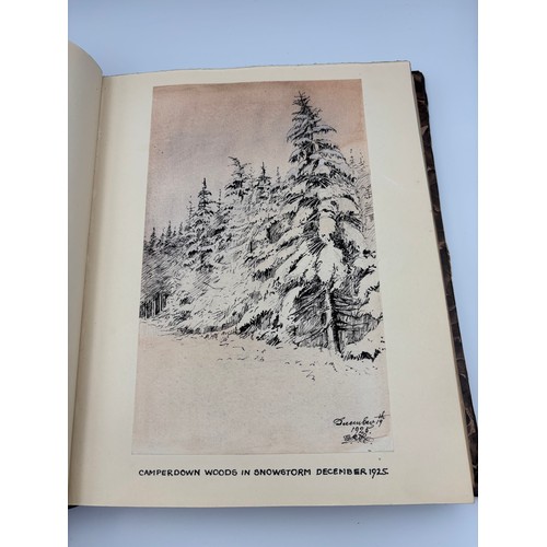 136 - A Book of Trees, Downfield 1924
Hand illustrated tree identification book with illustrations from ar... 