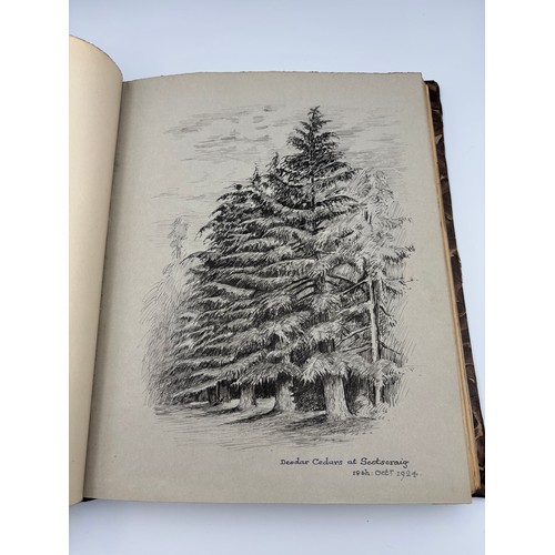 136 - A Book of Trees, Downfield 1924
Hand illustrated tree identification book with illustrations from ar... 