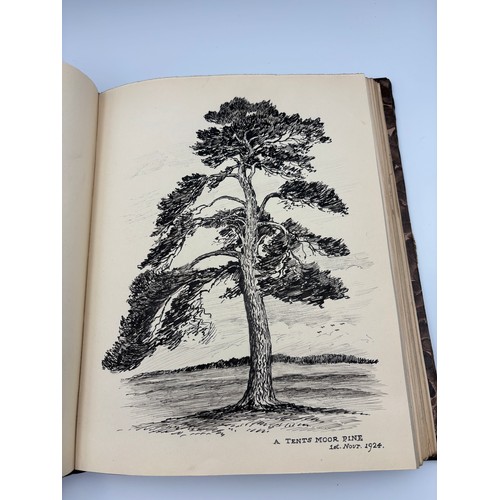 136 - A Book of Trees, Downfield 1924
Hand illustrated tree identification book with illustrations from ar... 