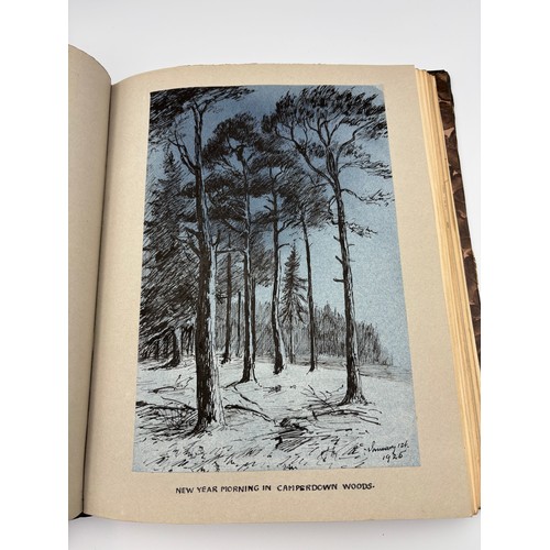 136 - A Book of Trees, Downfield 1924
Hand illustrated tree identification book with illustrations from ar... 