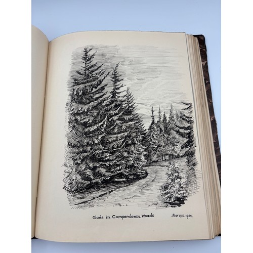 136 - A Book of Trees, Downfield 1924
Hand illustrated tree identification book with illustrations from ar... 