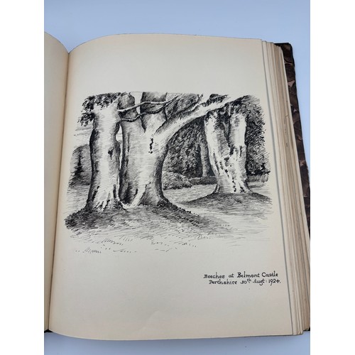 136 - A Book of Trees, Downfield 1924
Hand illustrated tree identification book with illustrations from ar... 