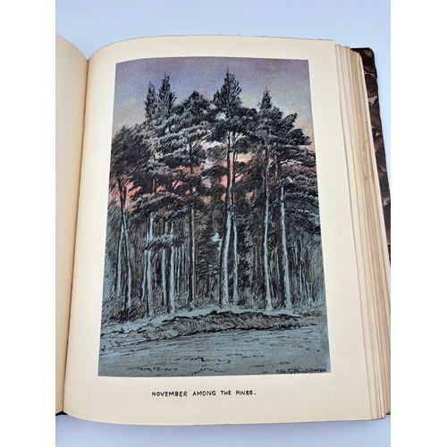 136 - A Book of Trees, Downfield 1924
Hand illustrated tree identification book with illustrations from ar... 