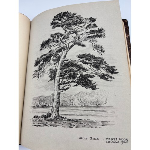 136 - A Book of Trees, Downfield 1924
Hand illustrated tree identification book with illustrations from ar... 