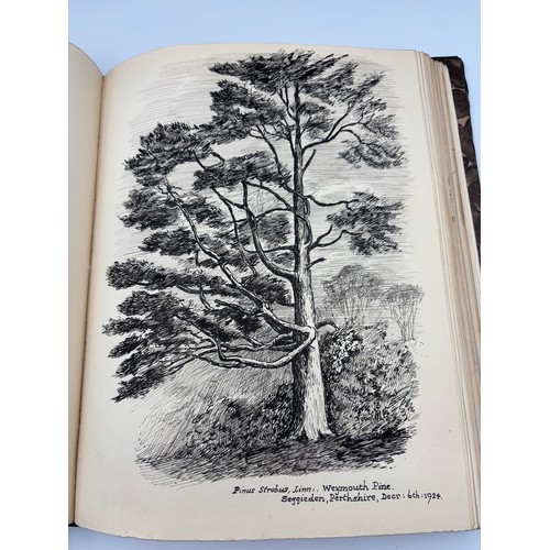 136 - A Book of Trees, Downfield 1924
Hand illustrated tree identification book with illustrations from ar... 