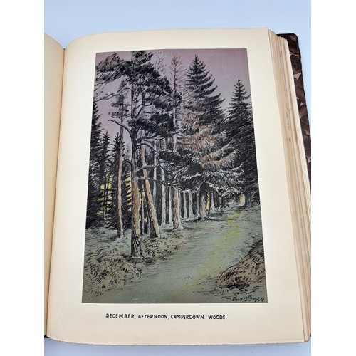 136 - A Book of Trees, Downfield 1924
Hand illustrated tree identification book with illustrations from ar... 