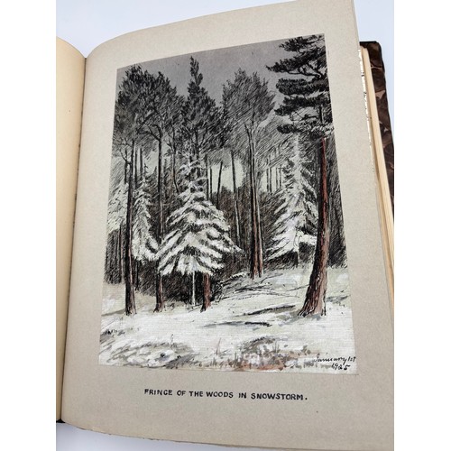 136 - A Book of Trees, Downfield 1924
Hand illustrated tree identification book with illustrations from ar... 