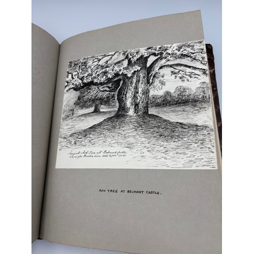 136 - A Book of Trees, Downfield 1924
Hand illustrated tree identification book with illustrations from ar... 