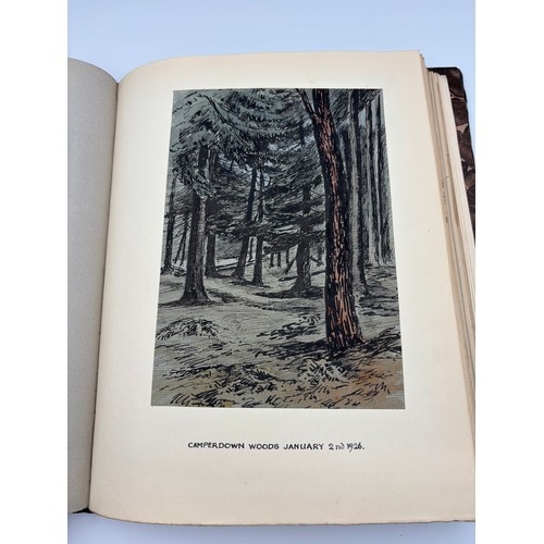 136 - A Book of Trees, Downfield 1924
Hand illustrated tree identification book with illustrations from ar... 