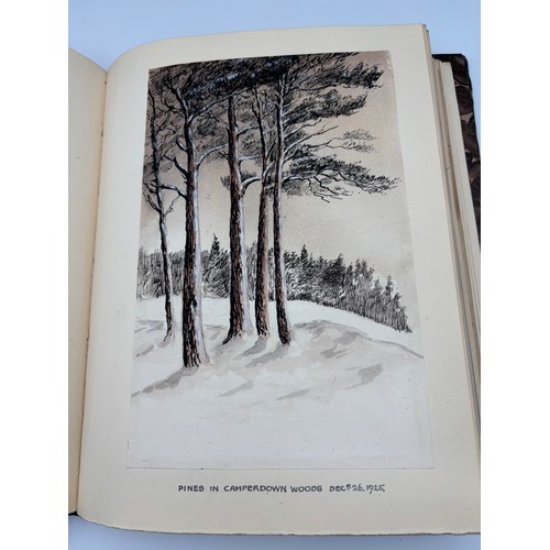 136 - A Book of Trees, Downfield 1924
Hand illustrated tree identification book with illustrations from ar... 