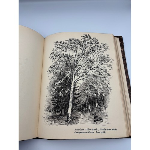 136 - A Book of Trees, Downfield 1924
Hand illustrated tree identification book with illustrations from ar... 