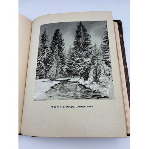 136 - A Book of Trees, Downfield 1924
Hand illustrated tree identification book with illustrations from ar... 