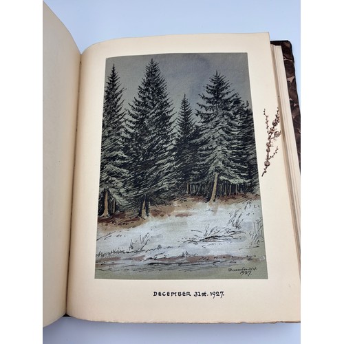 136 - A Book of Trees, Downfield 1924
Hand illustrated tree identification book with illustrations from ar... 