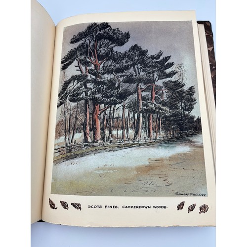 136 - A Book of Trees, Downfield 1924
Hand illustrated tree identification book with illustrations from ar... 