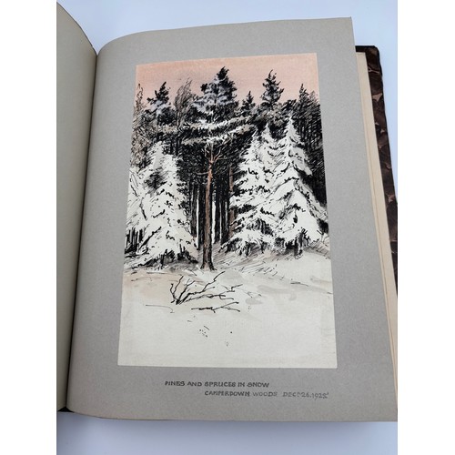 136 - A Book of Trees, Downfield 1924
Hand illustrated tree identification book with illustrations from ar... 