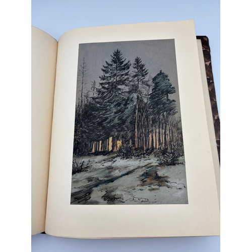 136 - A Book of Trees, Downfield 1924
Hand illustrated tree identification book with illustrations from ar... 