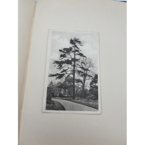 136 - A Book of Trees, Downfield 1924
Hand illustrated tree identification book with illustrations from ar... 