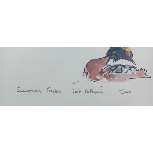 191 - David Bennett
Ink and watercolour titled ''Slaonian Grebe Studies, Loch Ruthven'', signed.
[Frame 43... 