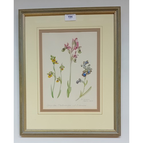 194 - R.B Carvoeiro
Watercolour titled ''Insect Orchids of The Algrave'', signed and dated Algarve '72.
[F... 