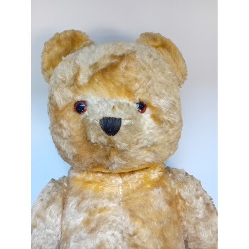 425 - Large Vintage 1950's Mohair Teddy Bear with growler [60cm]