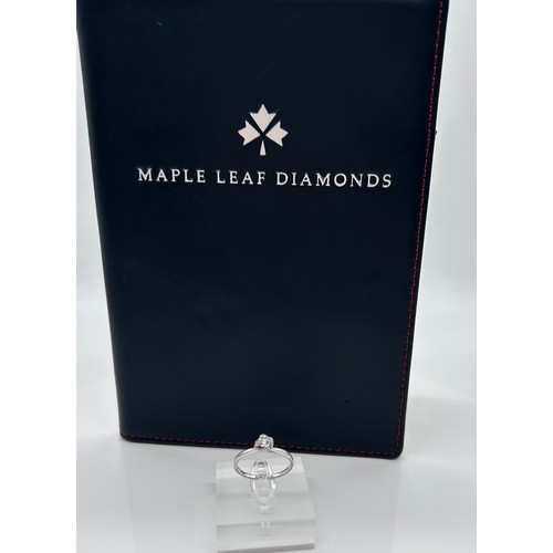 Lot 50A       