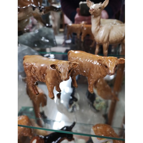 55 - 2 beswick Highland cow calfs.