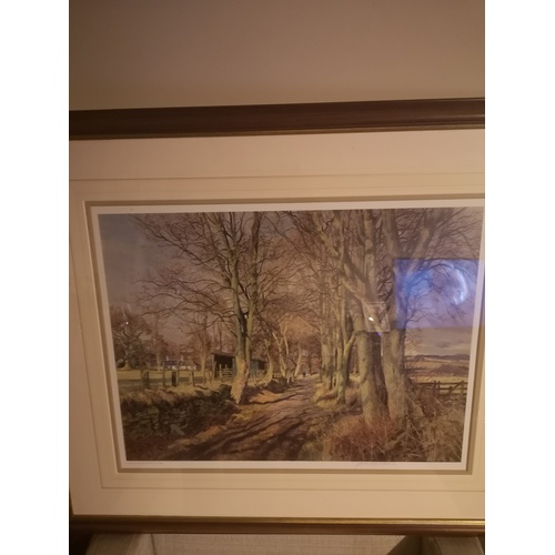 44 - Large Macintosh Patrick limited edition country side print.