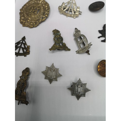 76 - Lot of military badges etc.