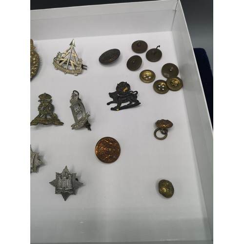 76 - Lot of military badges etc.