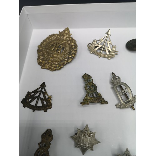 76 - Lot of military badges etc.