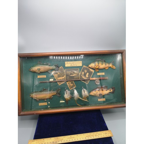 187 - Nautical fishing display picture.