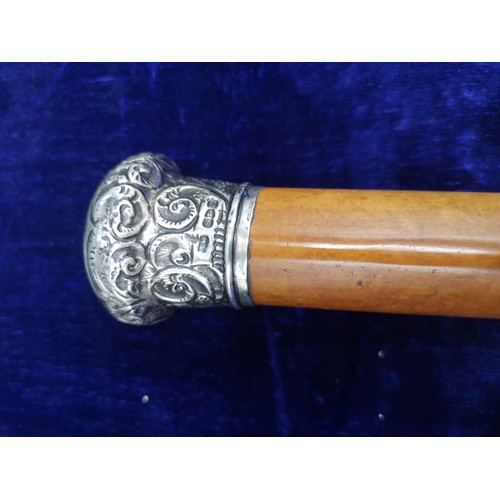 97 - Silver Hall marked walking stick makers cw.