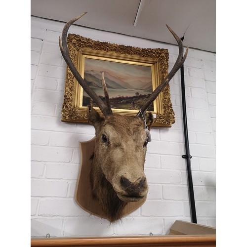 Lot 298       