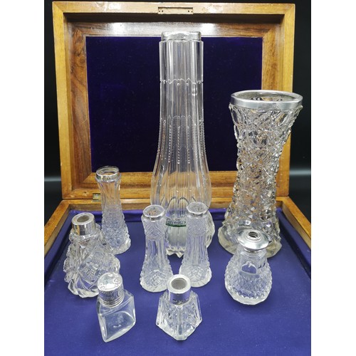 38 - Large collection of silver rimmed bud vases.