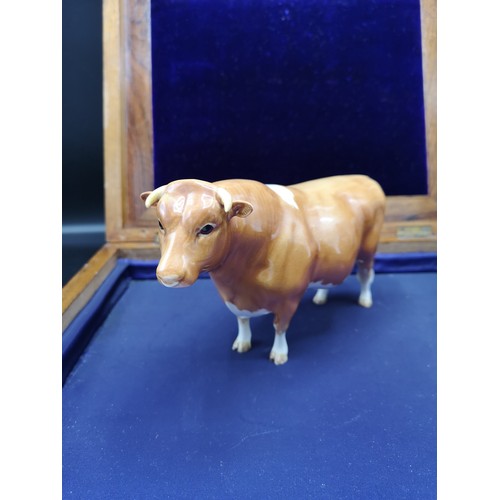 69 - Beswick Rare Sabrina s Sir Richmond  bull.