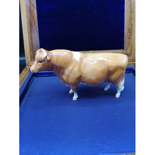 69 - Beswick Rare Sabrina s Sir Richmond  bull.