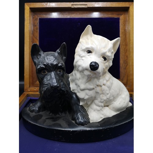 98 - Brentleigh ware whisky Black and white advertising westie dog display.