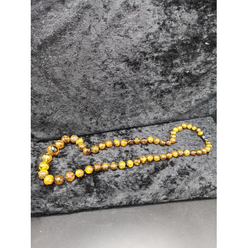40 - Set of Amber style beads. Has damage to grey end.