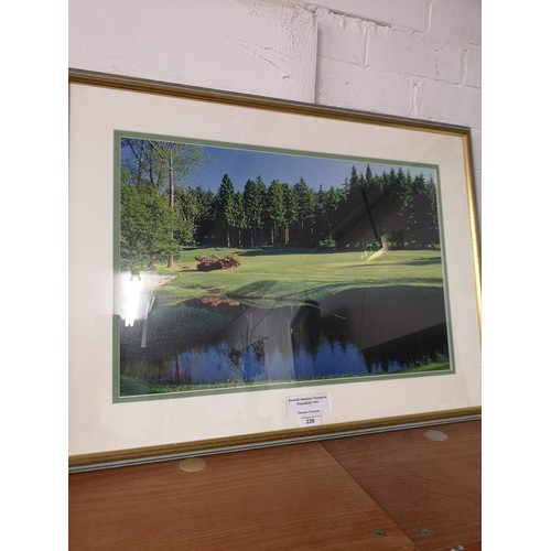 236 - Large Golfer s Scottish ameteur champion down field golf course picture by Graeme lowson.