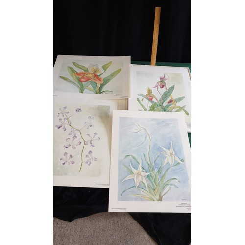 70c - Orchidees editions book of flower prints by Charles maliclair.
