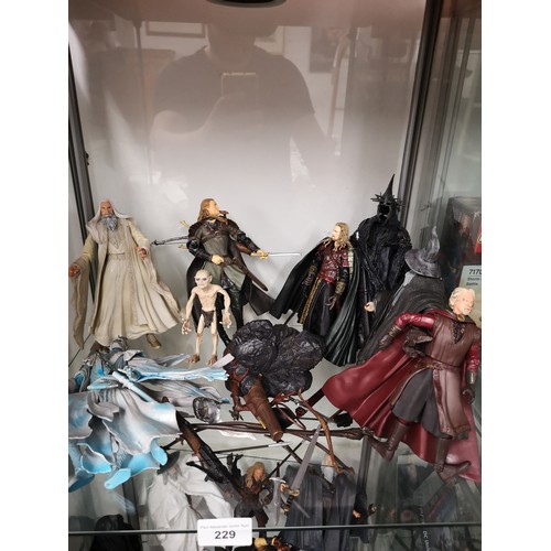 229 - 2 shelfs of Lord of the rings figures.