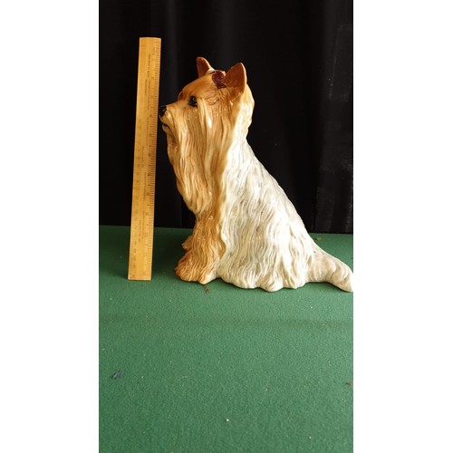 107 - Large Beswick Fireside Model Yorkie Dog Model No 2377